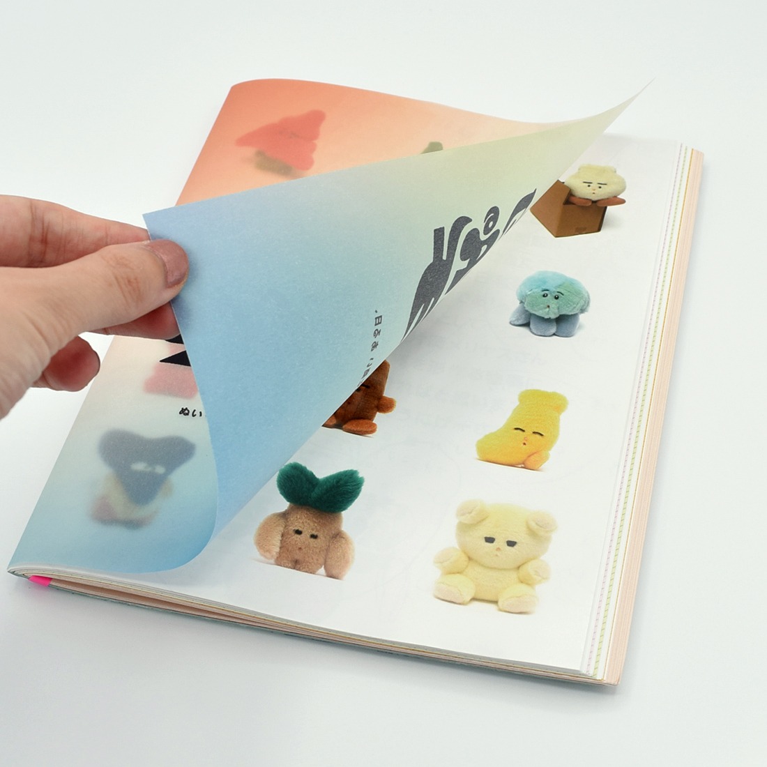 作品集「極私的 OKINAWAのカタチ」