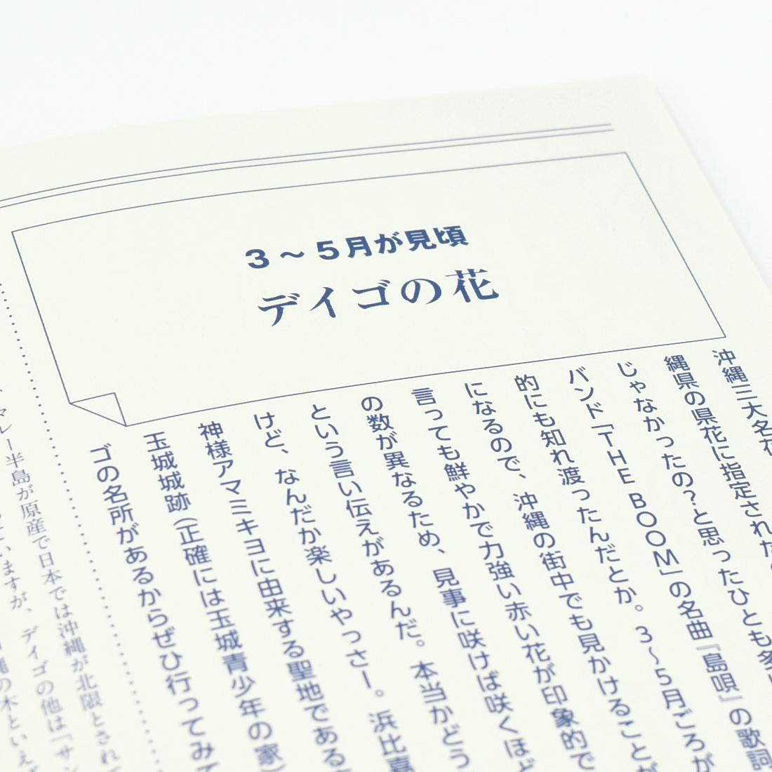 作品集「極私的 OKINAWAのカタチ」