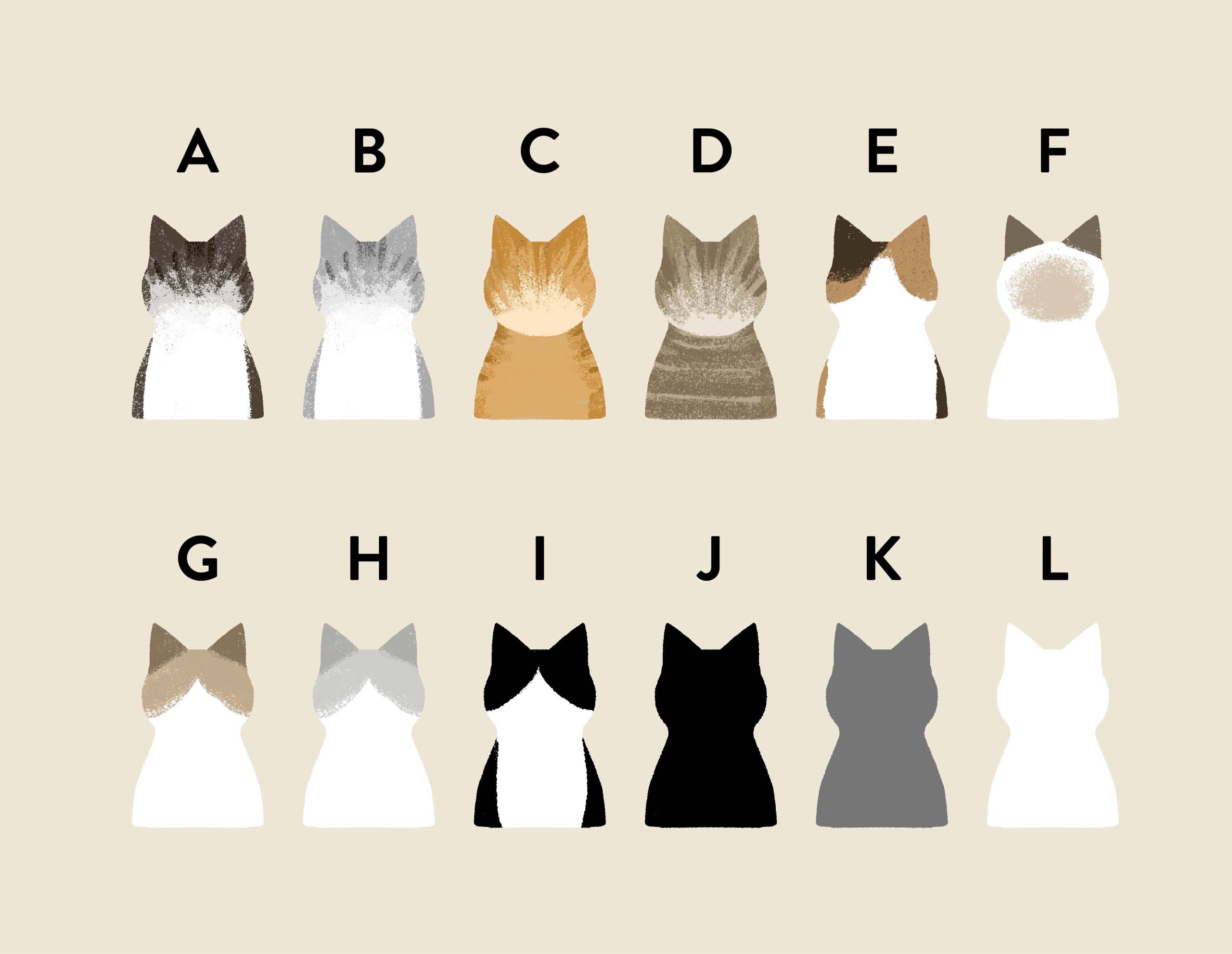 『にゃんにゃん展 vol.3』おおでゆかこ・おかやまたかとし・かわべしおん・砂糖ゆき・CHARADE SHOW