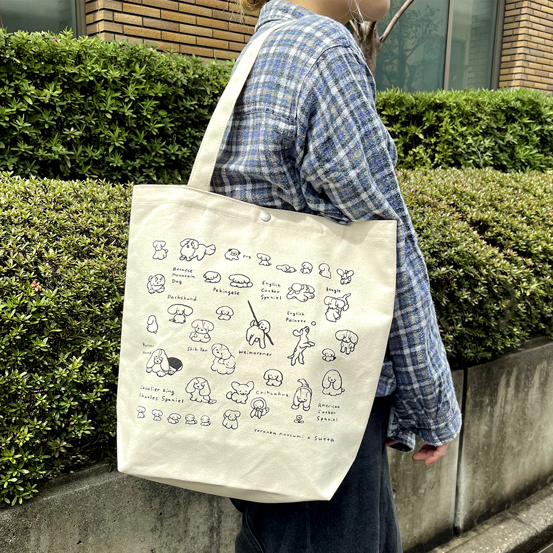 犬のトートバッグ「Chihuahua」